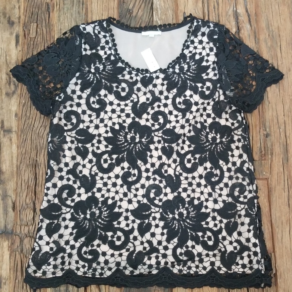 Jade Melody Tam Lace Top SZ Large NWT